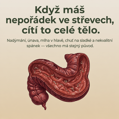 Rituální olej ÉLYMA — Detox z ricinového semene